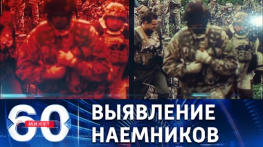 60 минут. Минобороны РФ рекомендует диким гусям вернуться на родину